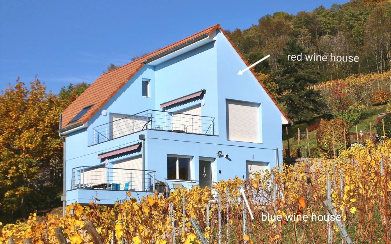 Janea Big Blue House Apartment Reichsfeld Exterior photo