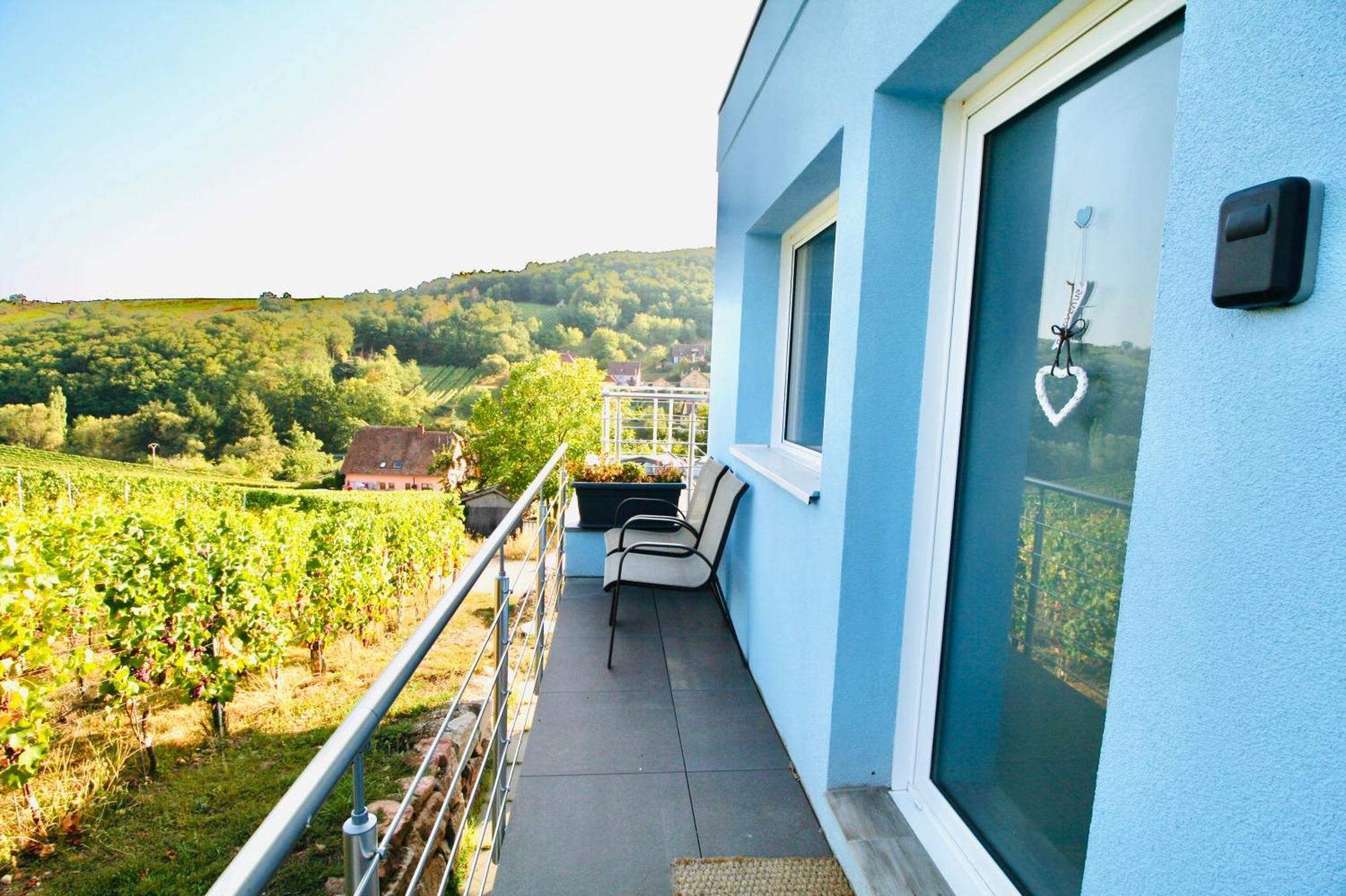 Janea Big Blue House Apartment Reichsfeld Exterior photo