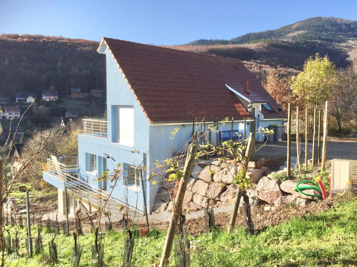 Janea Big Blue House Apartment Reichsfeld Exterior photo
